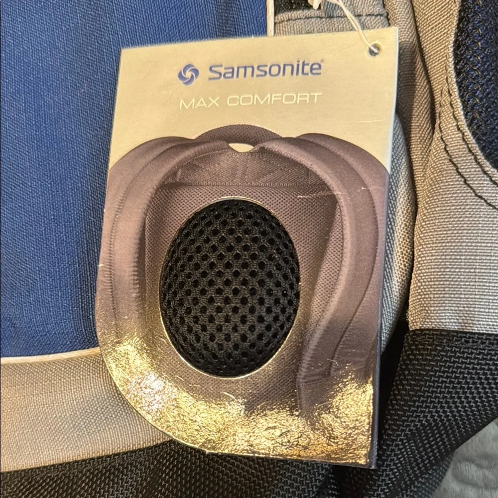 Samsonite Classic Blue and Gray Backpack